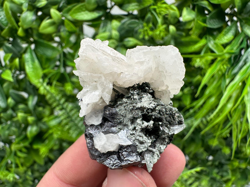 Mirror Galena, Calcite, Sphalerite on Quartz with Chlorite: Collection Mineral