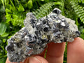 Galena Chalcopyrite on Quartz: Crystal Home Decor, Borieva Mine