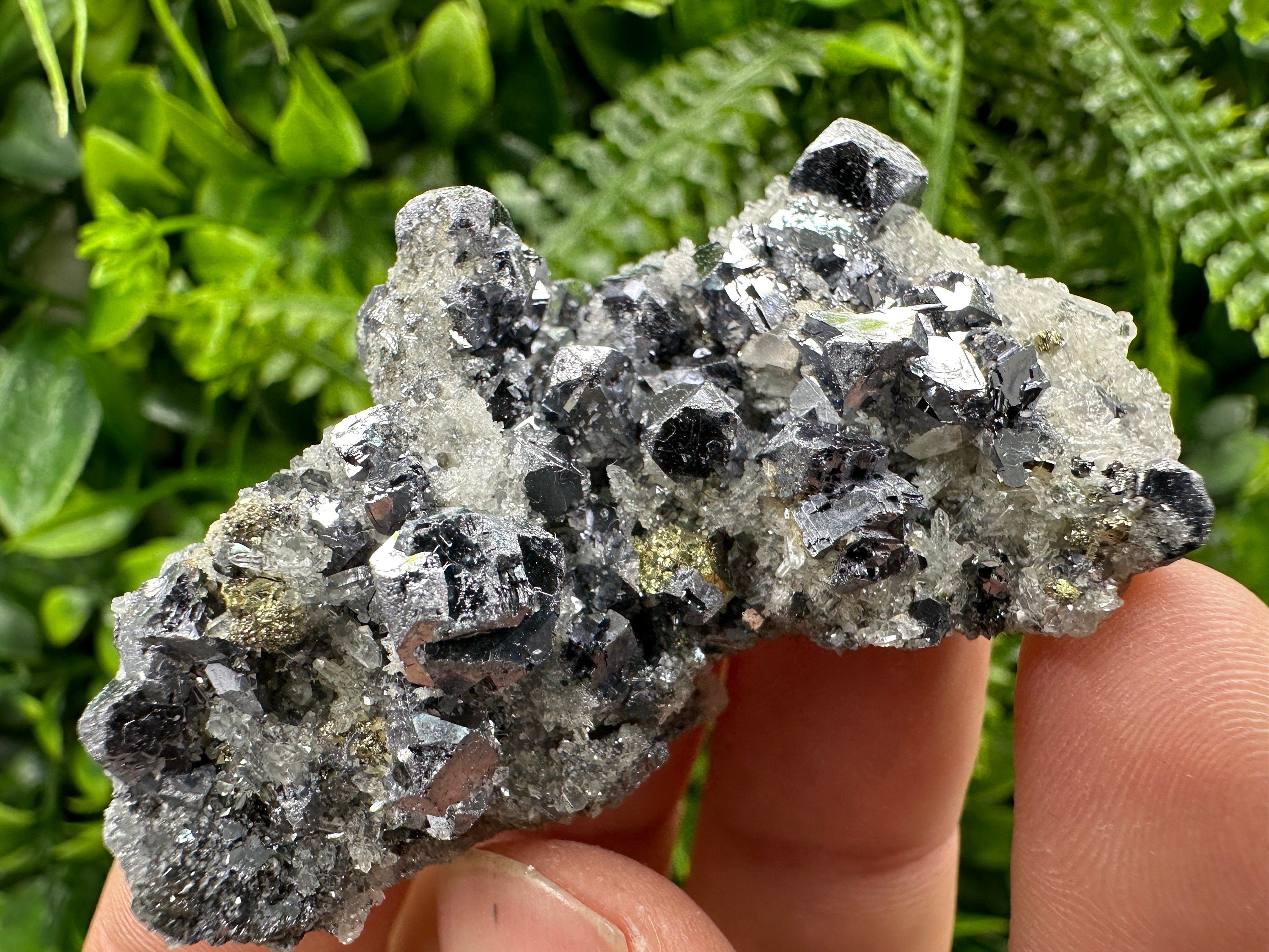 Galena Chalcopyrite on Quartz: Crystal Home Decor, Borieva Mine