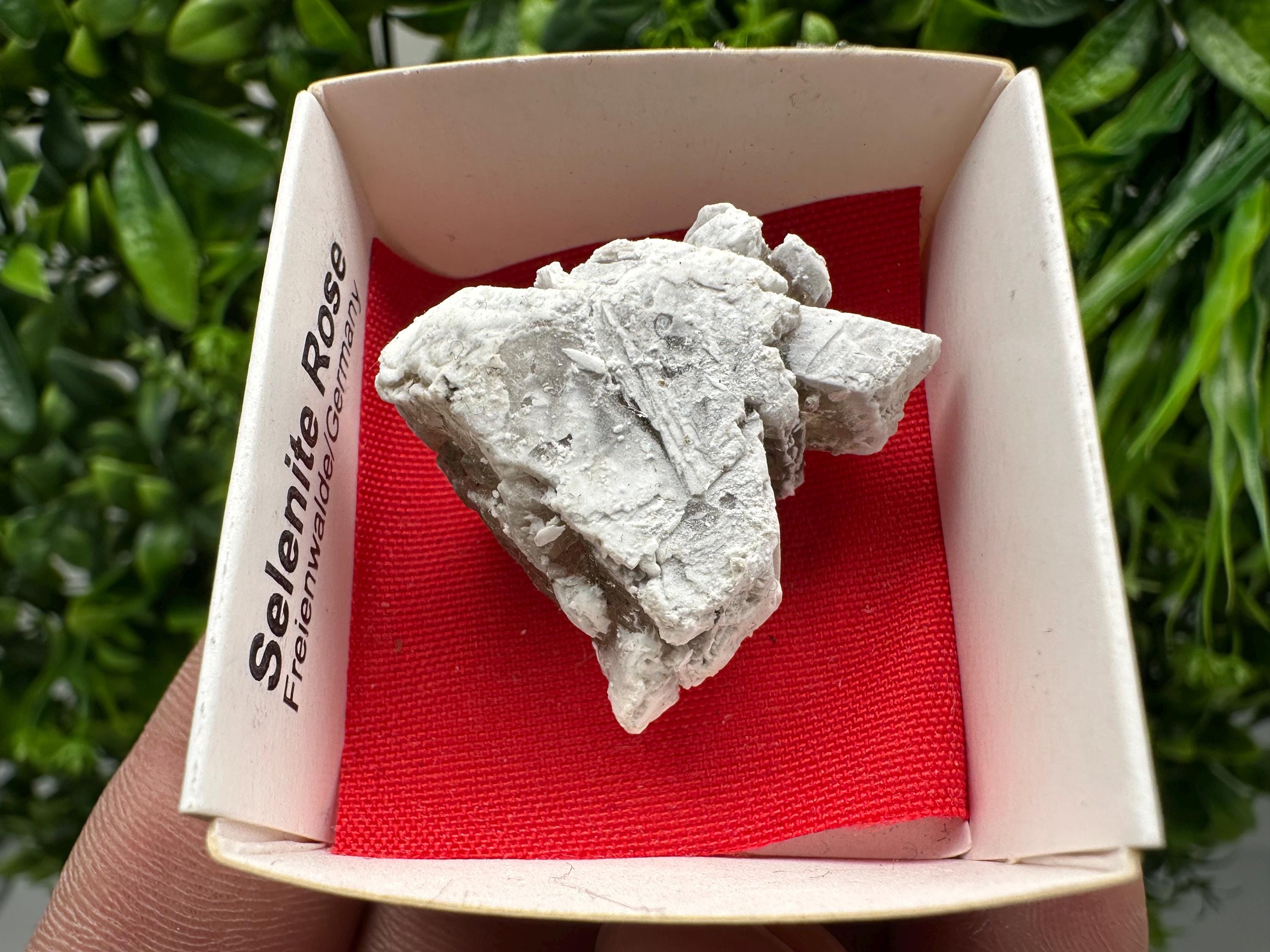 Selenite Rose Freienwalde,Germany natural crystal minerals,specimen,clusters,souvenirs,home decor,gift minerals,rare stone,collection