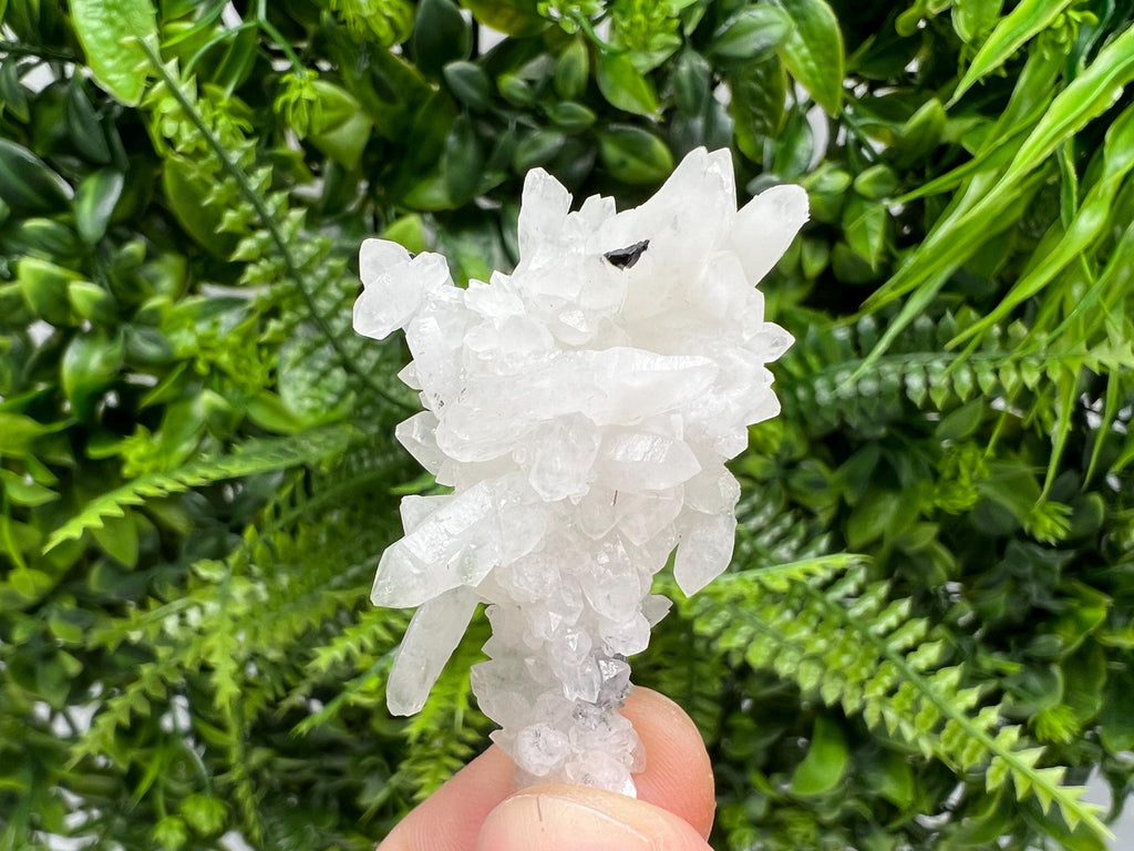 Wonderful Transparent Quartz on Chlorite Matrix,From Borieva mine,Madan,Bulgaria,Quartz,Quartz crystal,mineral specimen,collection quartz