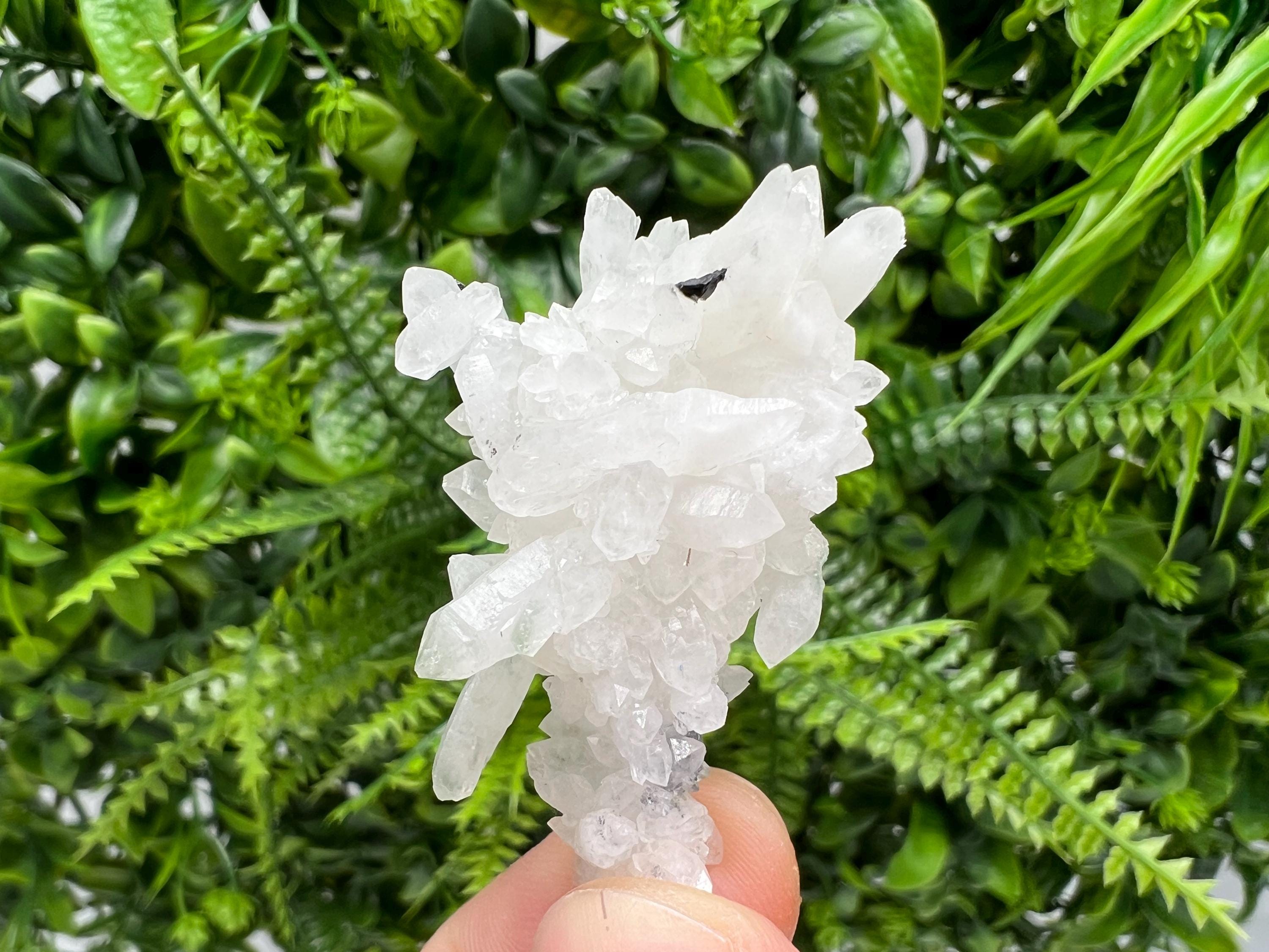 Wonderful Transparent Quartz on Chlorite Matrix,From Borieva mine,Madan,Bulgaria,Quartz,Quartz crystal,mineral specimen,collection quartz
