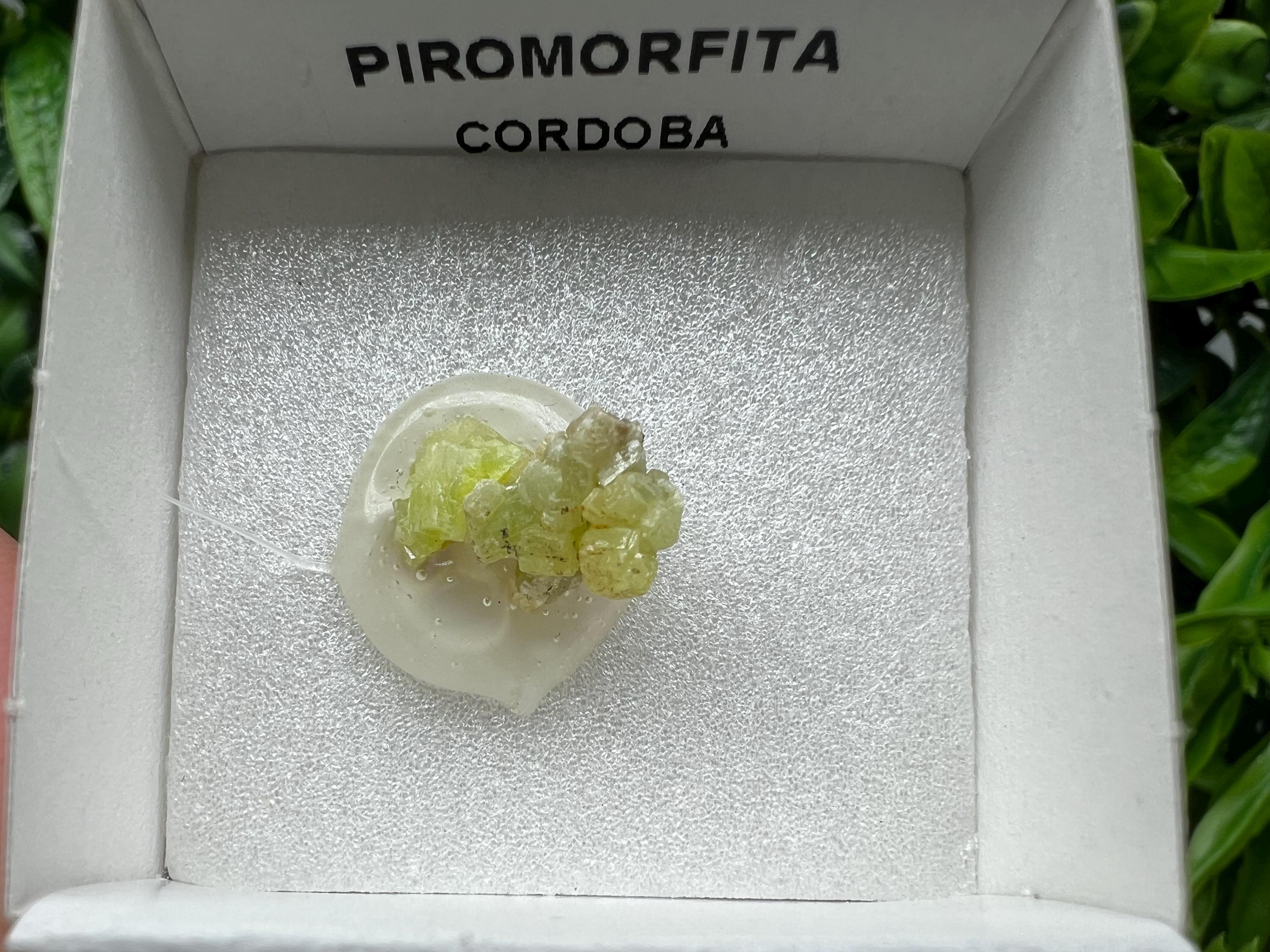 Pyromorphite Stone / Pyromorphite on Matrix / Pyromorphite Crystal / Raw Crystal / Pyromorphite Cluster / Rough Pyromorphite / Pyromorphite