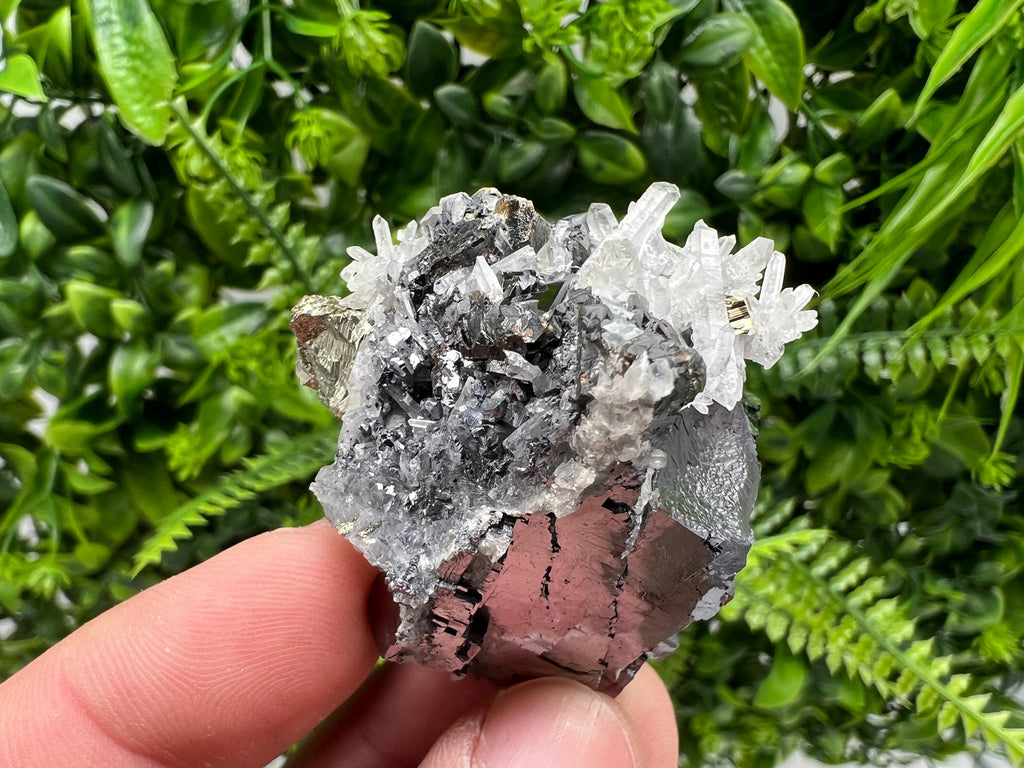 Pyrite Galena Sphalerite Quartz Specimen, Borieva Mine Bulgaria