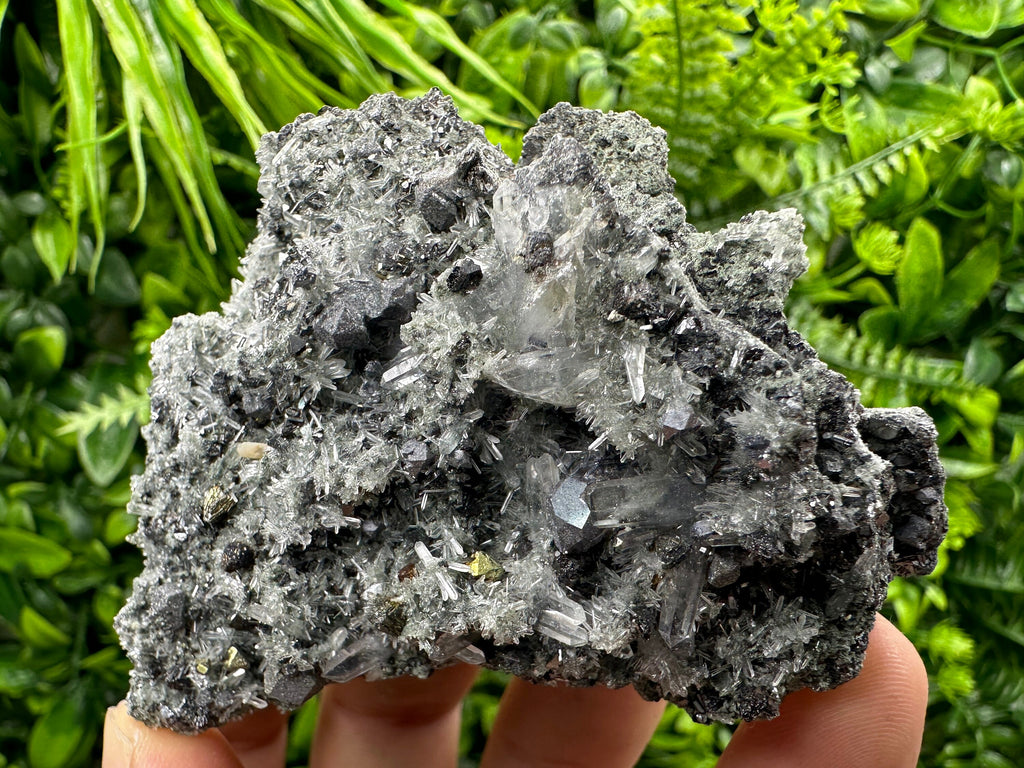 Chalcopyrite Galena on Quartz with Chlorite, Bulgaria Mineral Specimen