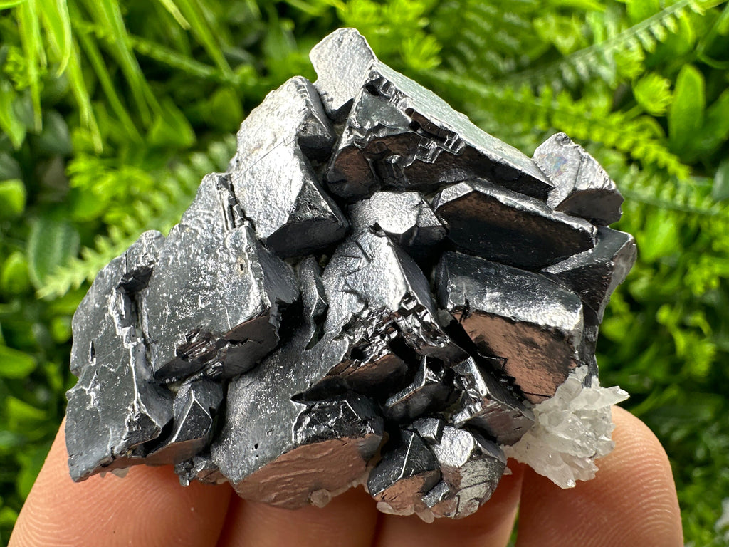 Skeletal Galena with Quartz, Natural Minerals, Bulgaria
