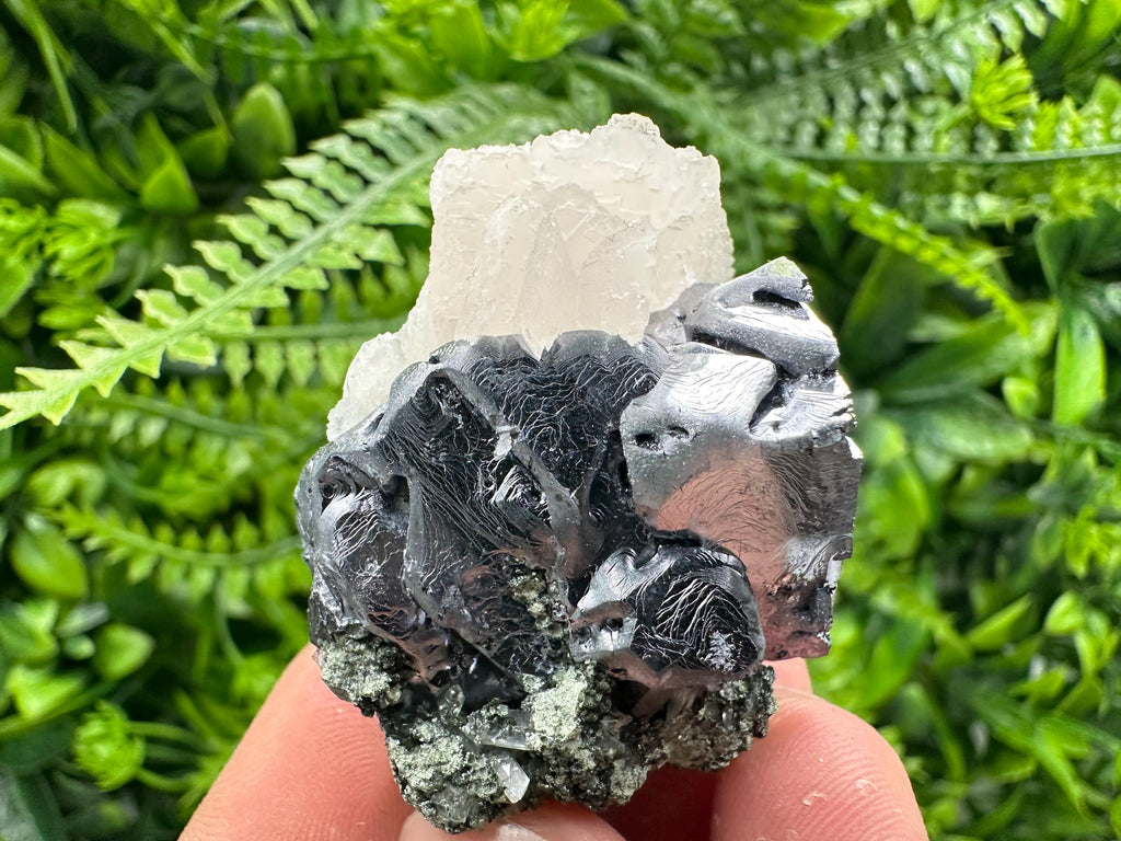 Shiny Galena with Calcite on Quartz, Chlorite Specimen