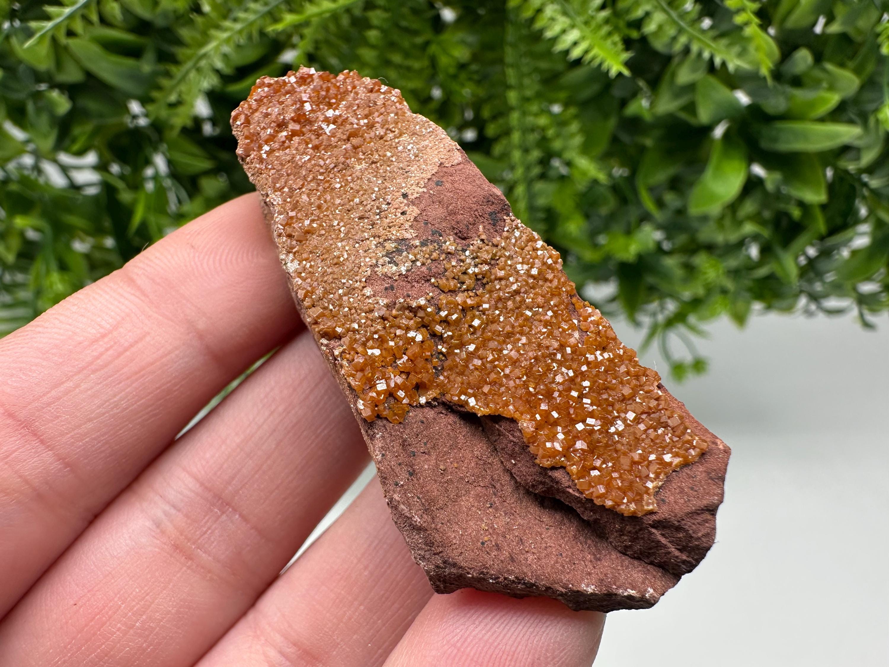 Red Vanadinite on Matrix from Marocco,crystal minerals Speciment cluster Vanadinite crystal Vanadinite Geology Vanadinite cluster minerals