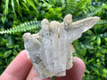 Quartz Rhodochrosite Cluster, Djurcovo Mine Mineral Specimen