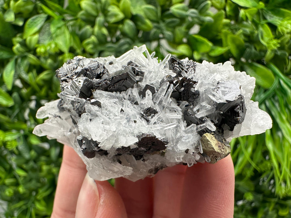 Wonderful Sphalerite Chalcopyrite on  Quartz whit Galena feom 9 th September mine,Bulgaria,natural,collection mineral specimen,gift