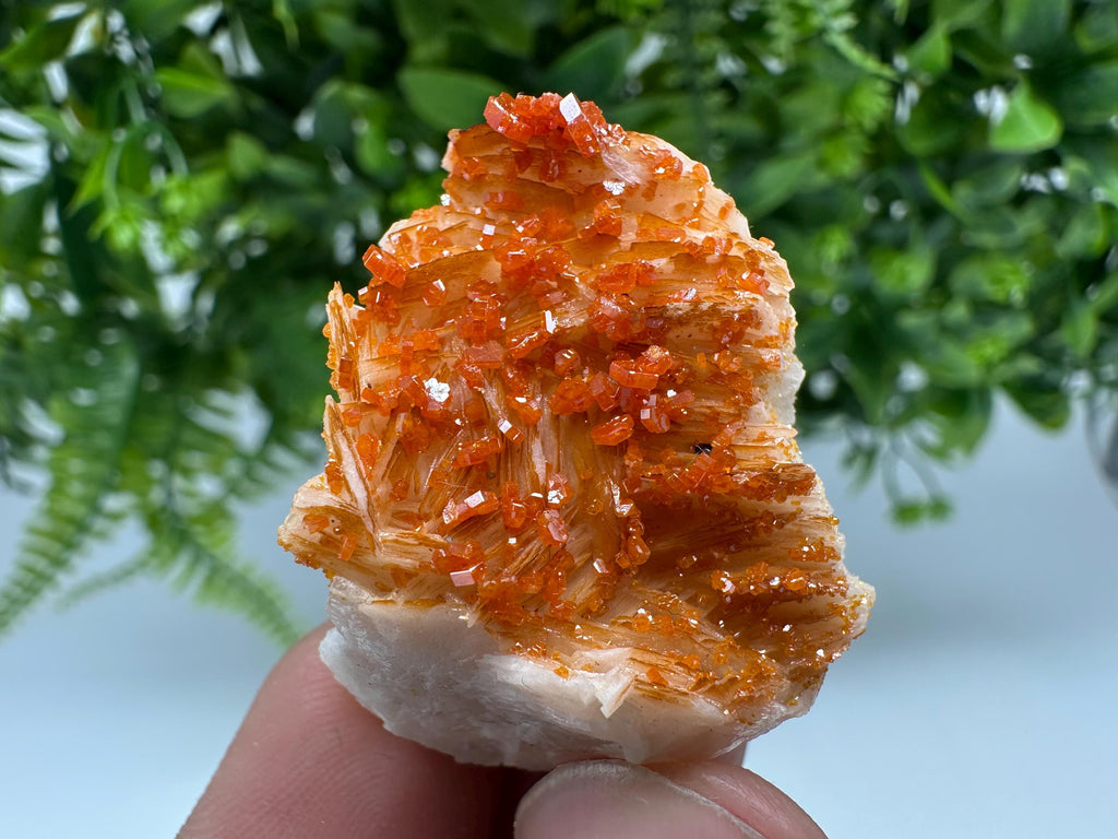 Red Vanadinite on Barite from Marocco,crystal minerals Speciment cluster Vanadinite crystal Vanadinite Geology Vanadinite cluster minerals