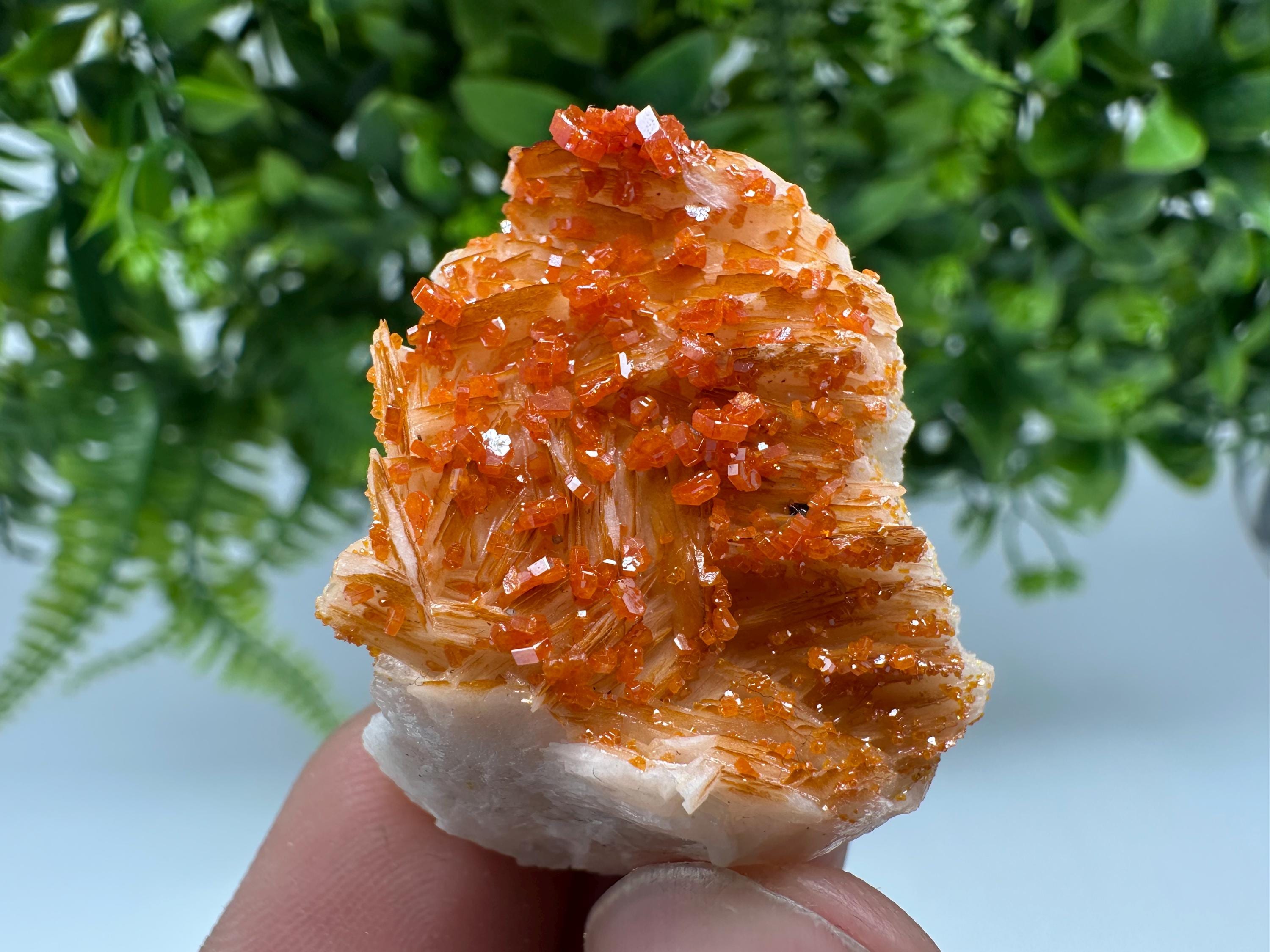 Red Vanadinite on Barite from Marocco,crystal minerals Speciment cluster Vanadinite crystal Vanadinite Geology Vanadinite cluster minerals