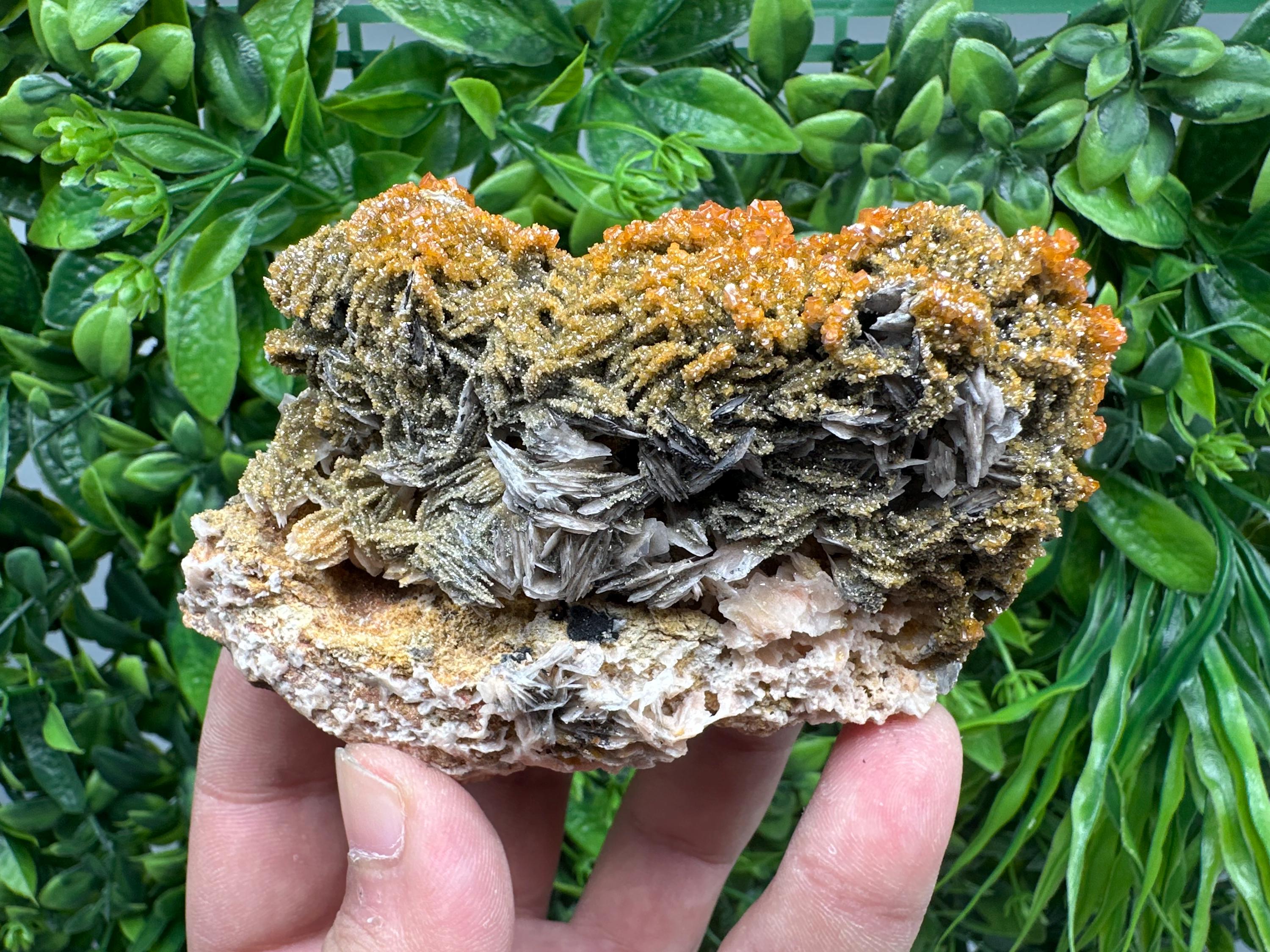 VERY Rare red Vanadinite on Barite whit Goethite from Marocco,crystal minerals Speciment cluster Vanadinite crystal Vanadinite Geology Vanad