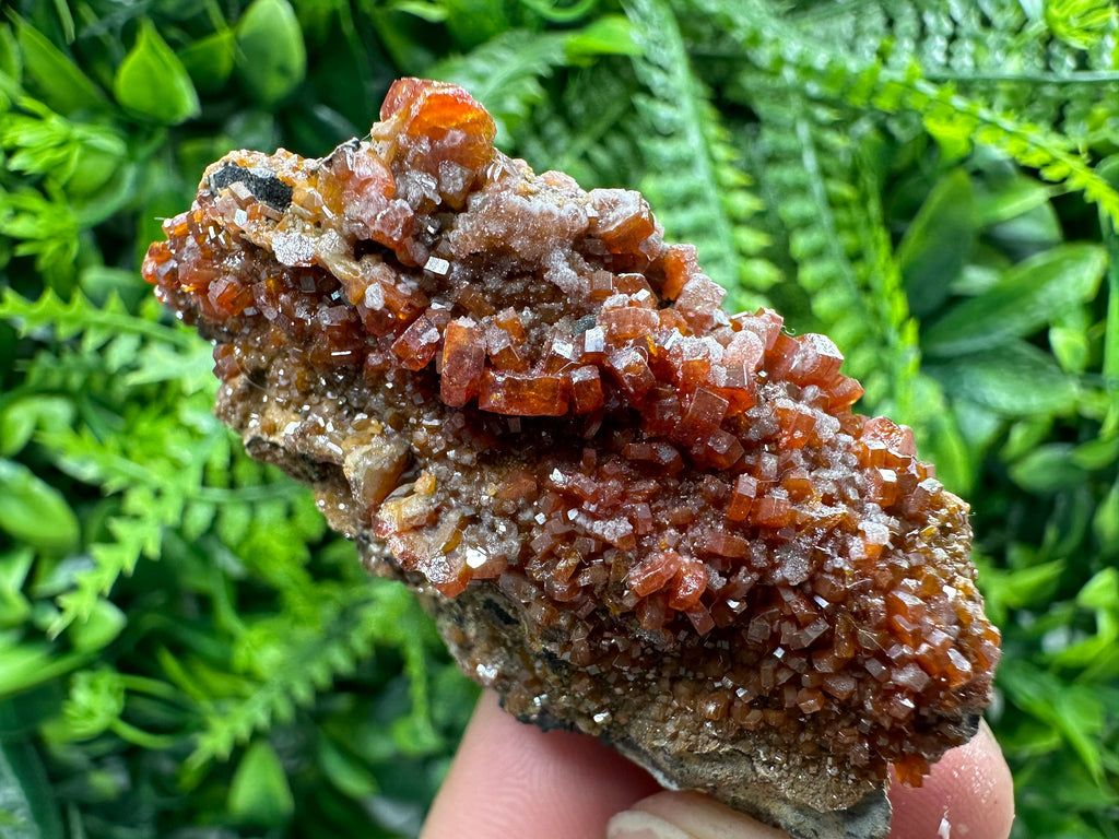 Red Vanadinite Crystal Cluster on Matrix, Morocco Mineral Specimen
