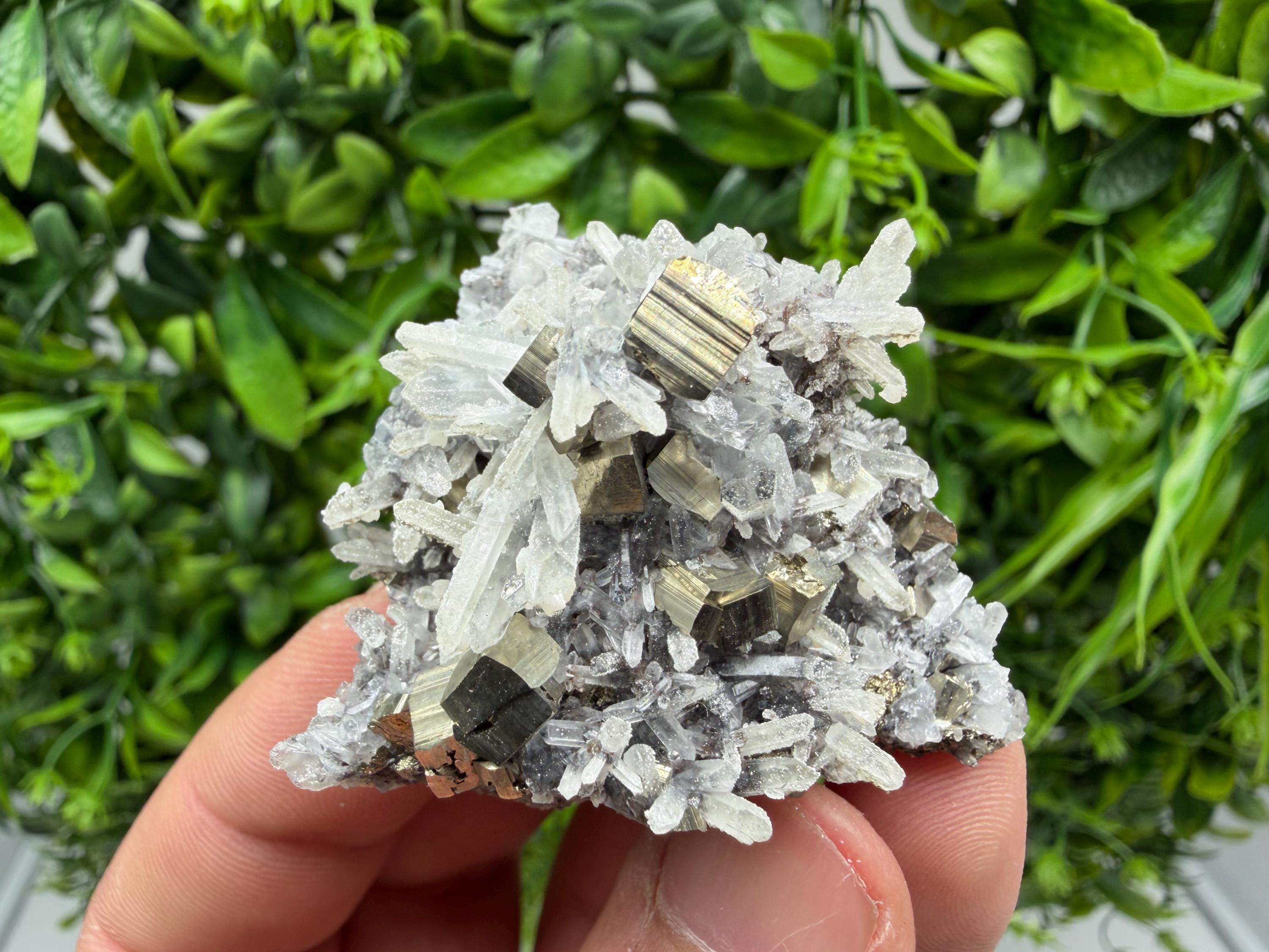 Pyrite Sphalerite Quartz  Mineral Specimen, Krushev dol Mine