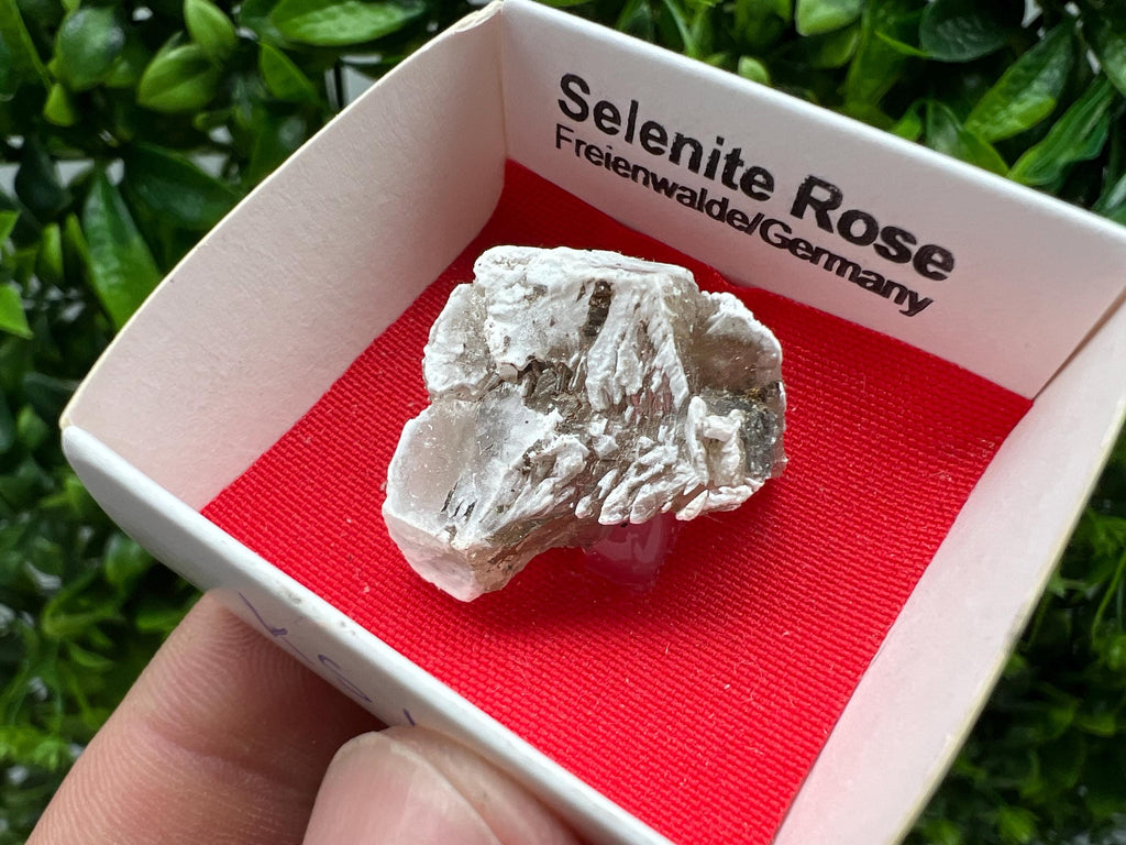 Selenite Rose Freienwalde,Germany natural crystal minerals,specimen,clusters,souvenirs,home decor,gift minerals,rare stone,collection