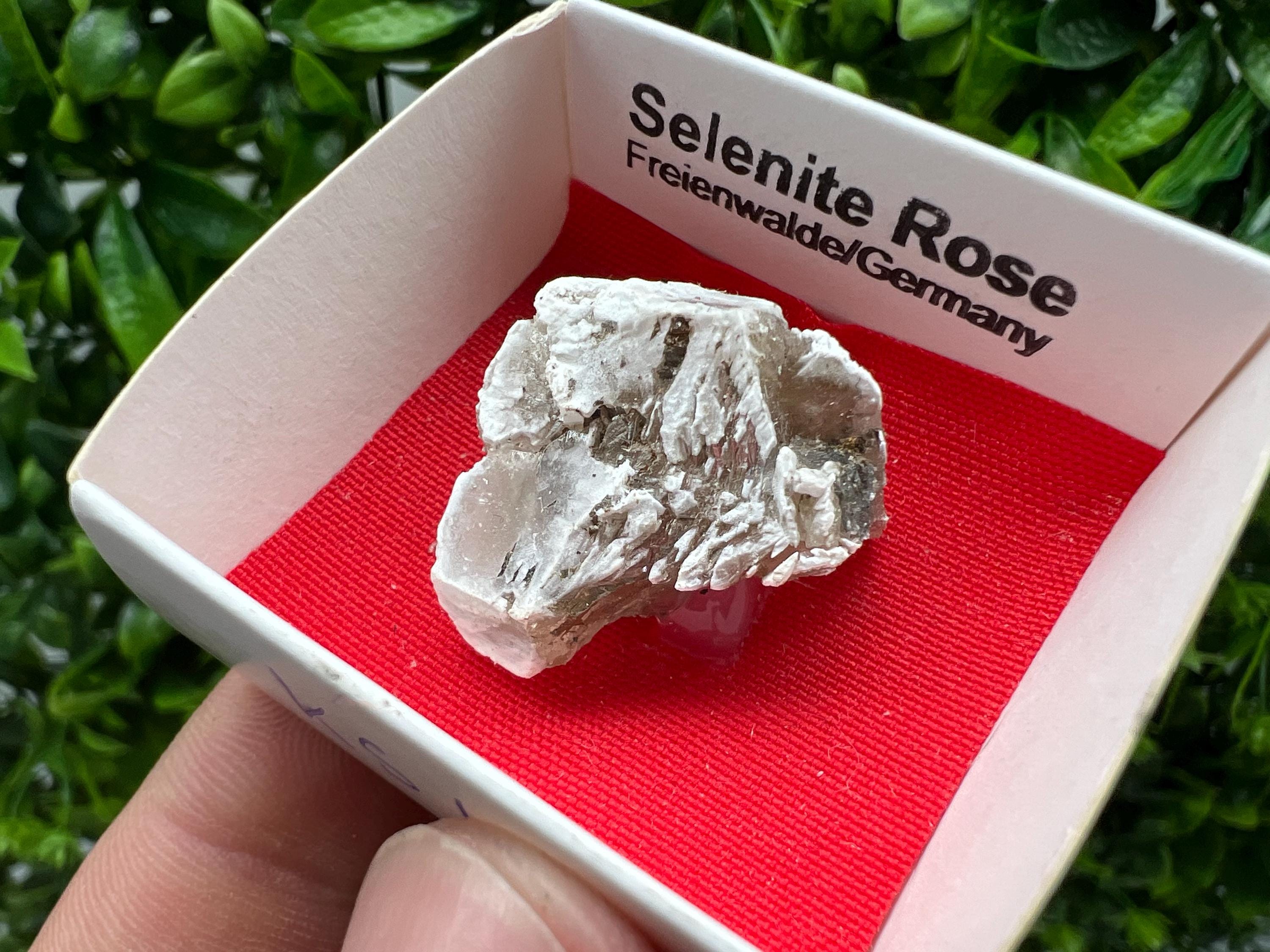 Selenite Rose Freienwalde,Germany natural crystal minerals,specimen,clusters,souvenirs,home decor,gift minerals,rare stone,collection