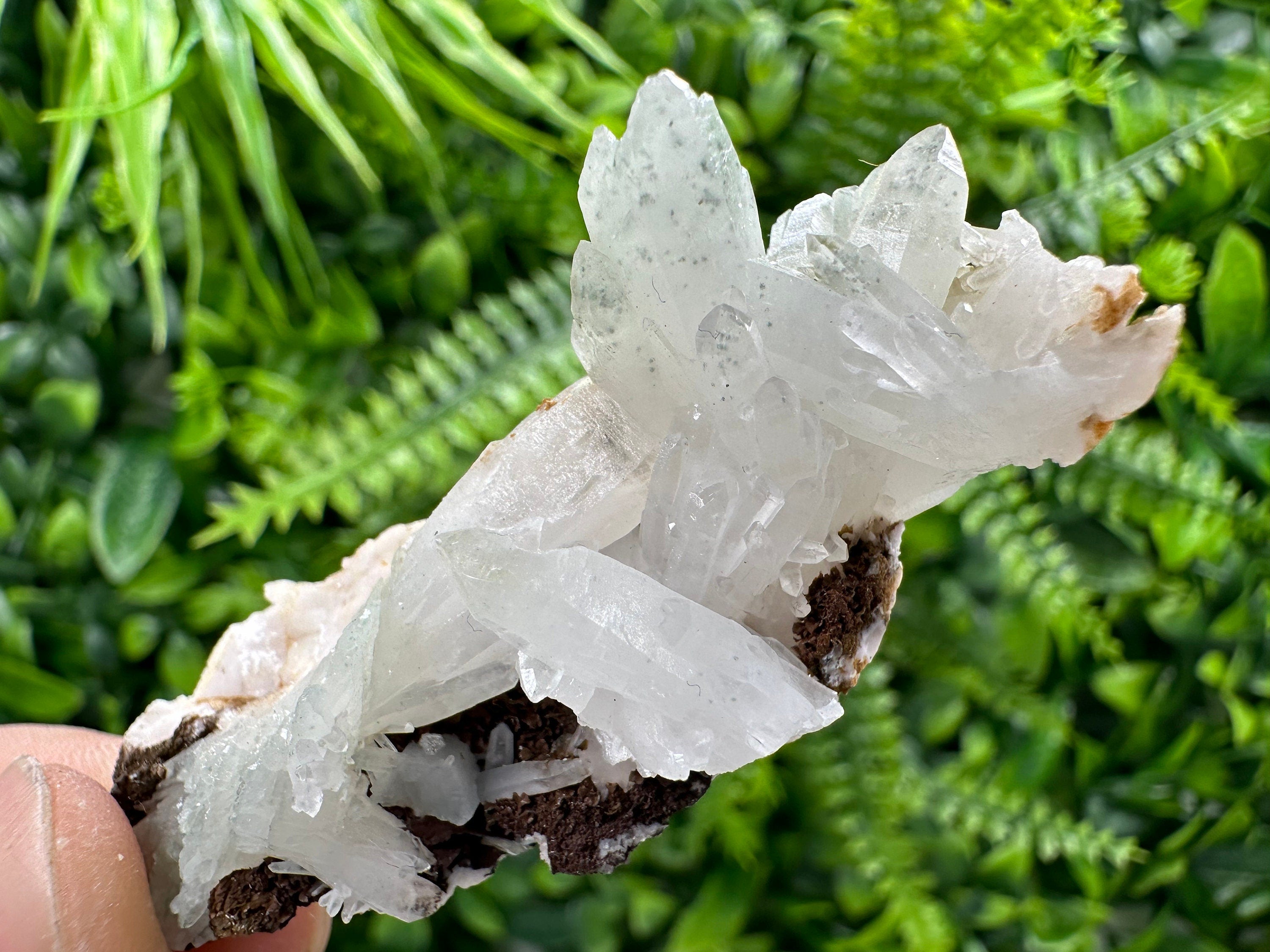 Quartz with Chlorite, Rhodochrosite, and Siderite Mineral Specimen