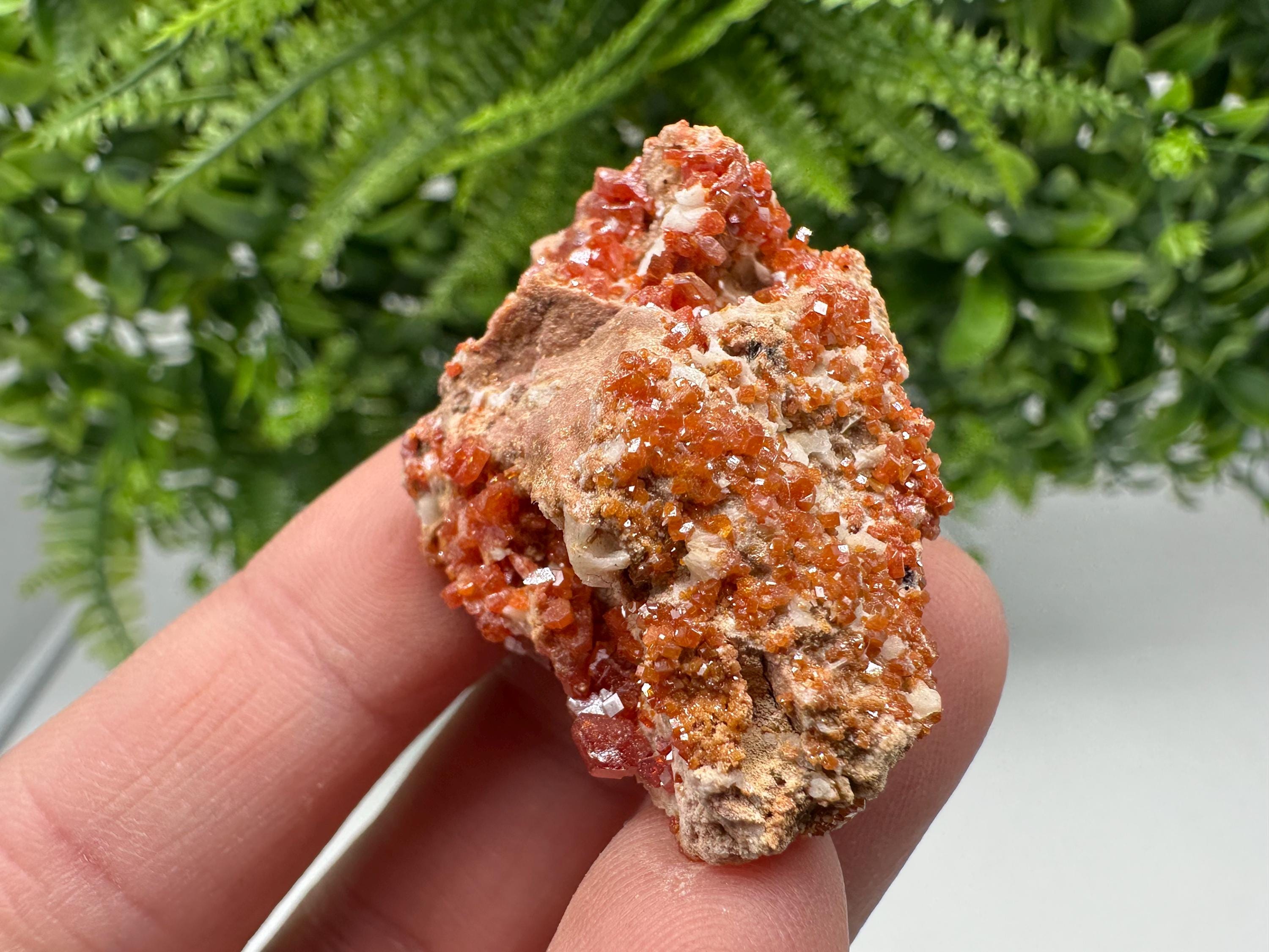 Red Vanadinite on Matrix from Marocco,crystal minerals Speciment cluster Vanadinite crystal Vanadinite Geology Vanadinite cluster minerals