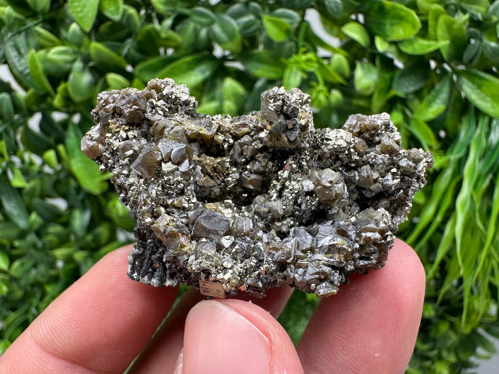 Sphalerite GEM Cleiopfane on Pyrite, Rare Crystal Mineral Stone