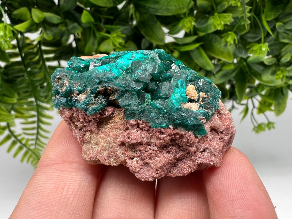 Stunning Green Dioptase from Sanda Hills,Mindouli,Pool Department,Mindouli District,Congo,green Dioptase,Dioptas Crystal,Dioptase collecting
