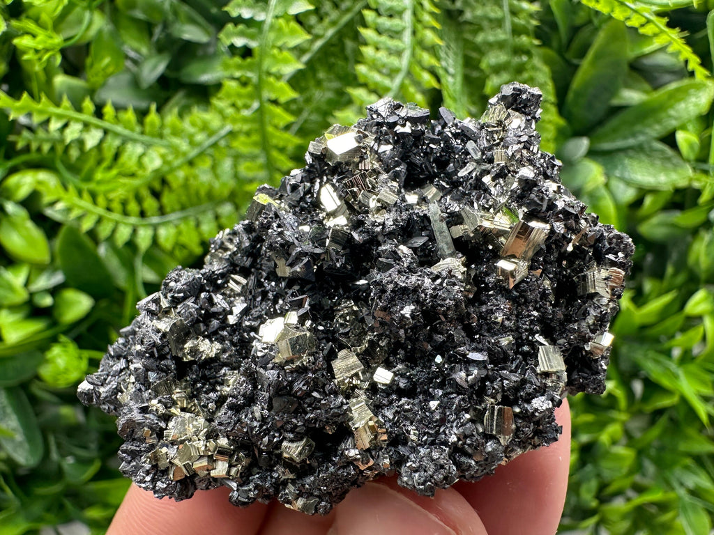 Golden Pyrite with Sphalerite, Borieva Mine Mineral Specimen