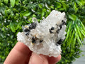 Wonderful Sphalerite Chalcopyrite on  Quartz whit Hematite feom 9 th September mine,Bulgaria,natural,collection mineral specimen,gift