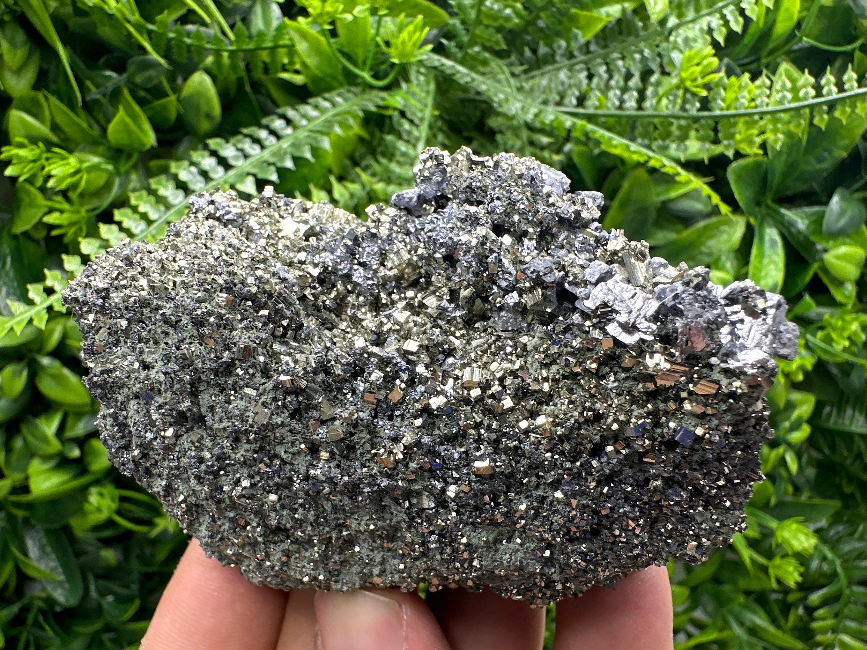 Galena on Pyrite Specimen: Borieva Mine, Bulgaria