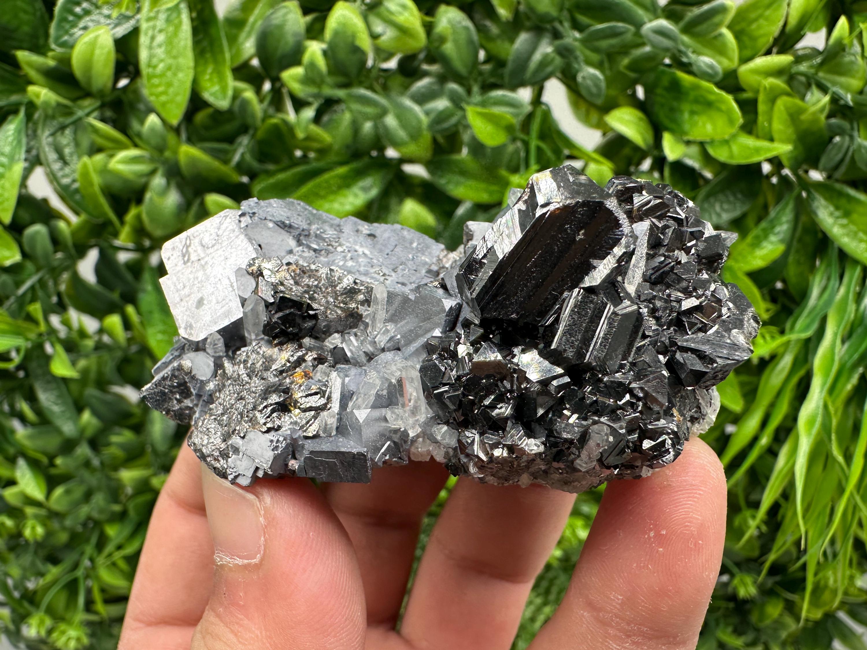Galena on Sphalerite Mineral Specimen, Borieva Mine Bulgaria