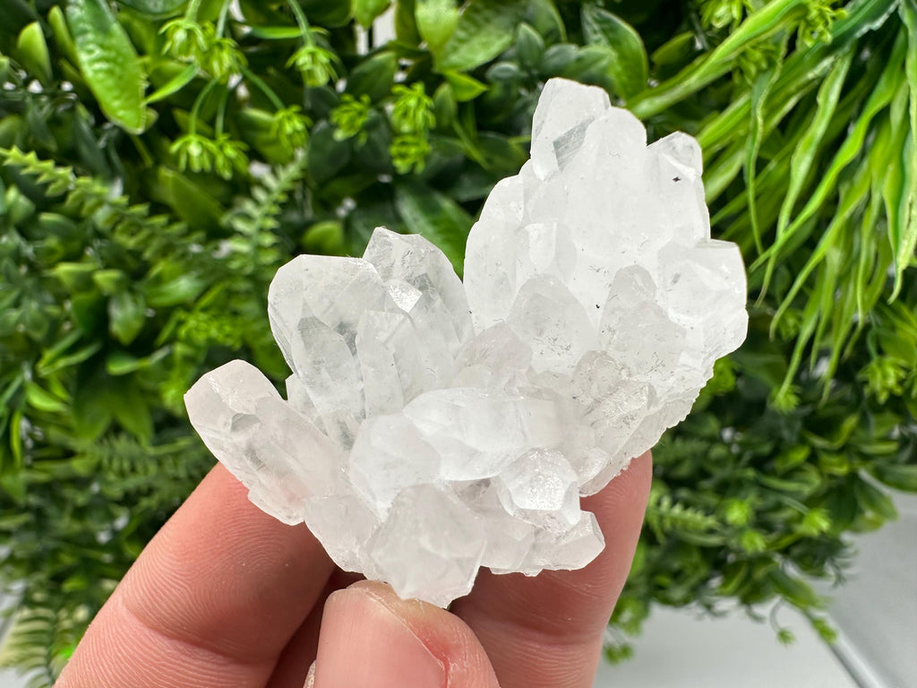 Transparent Quartz on Chlorite Matrix, Borieva Mine, Bulgaria