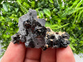 Skeletal Galena Mineral Specimen: Madan Bulgaria Collectible Stone