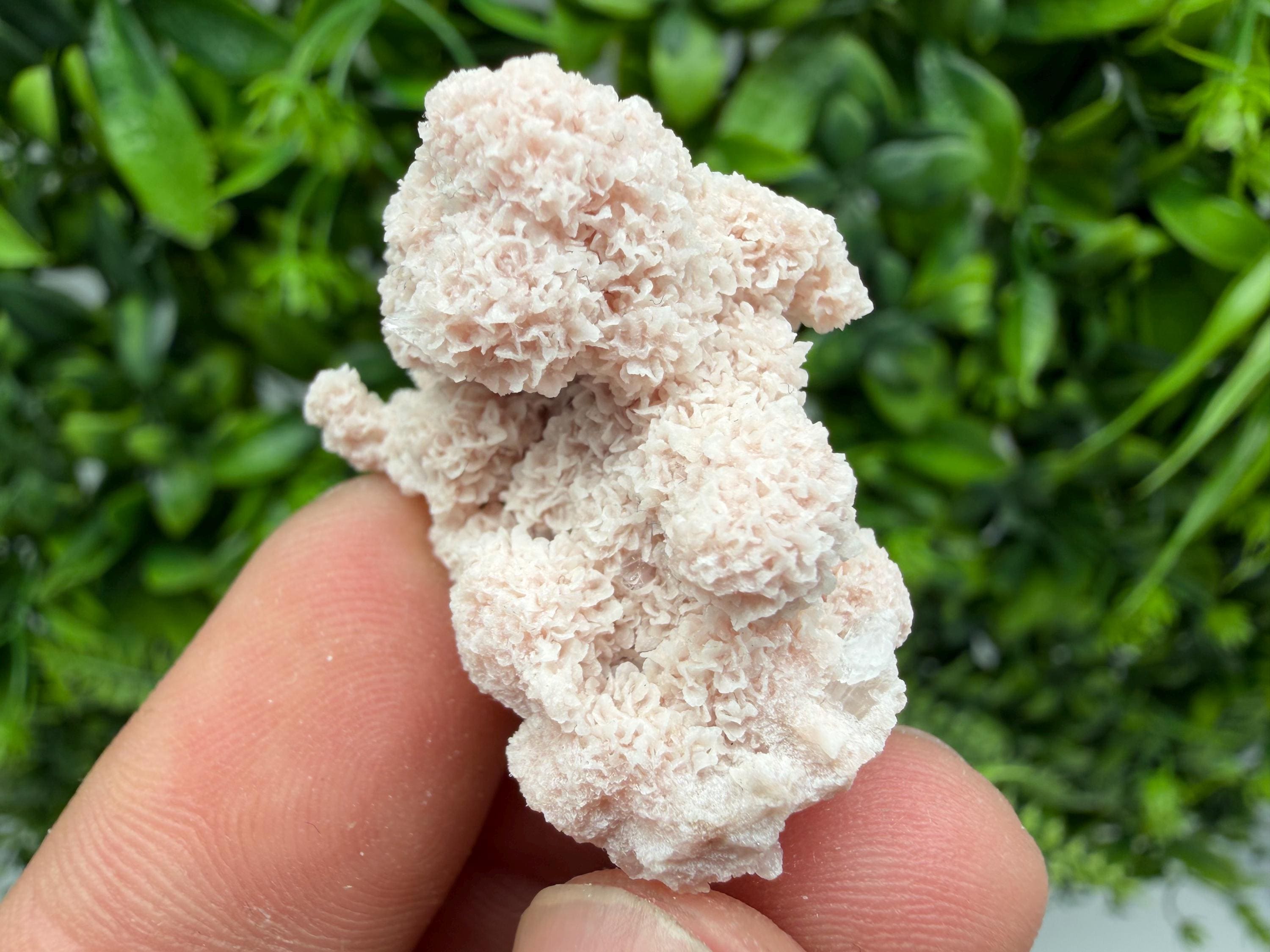 Stunning Quartz whit Chlorite on Rhodochrosite covered whit siderite natural minerals souvenir crystal home decor stone 9th September mine