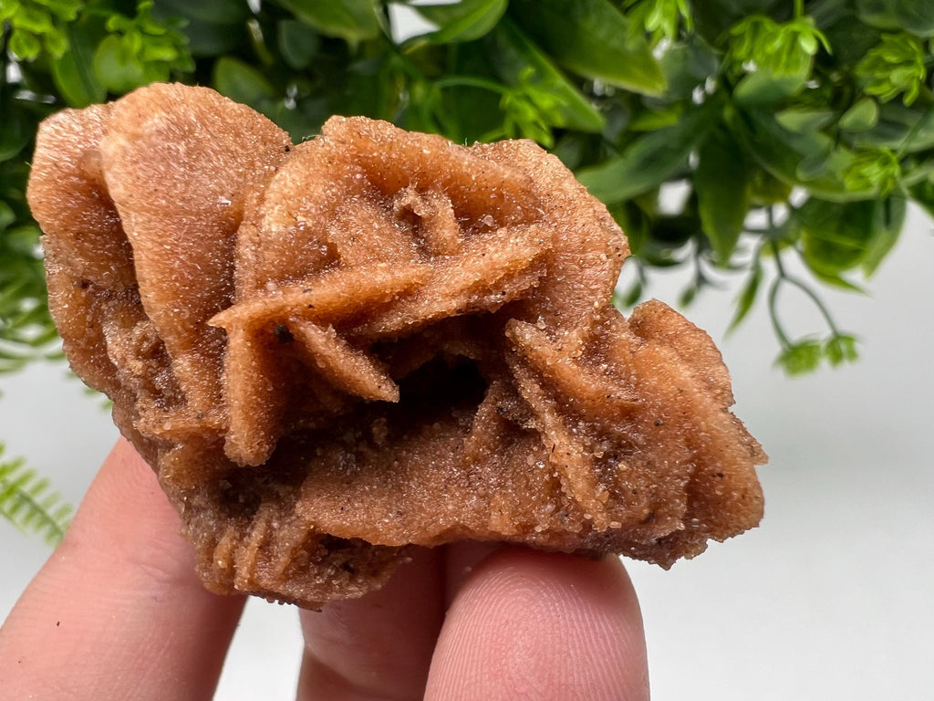 Desert Rose Crystal: Root Chakra Healing Selenite Stone