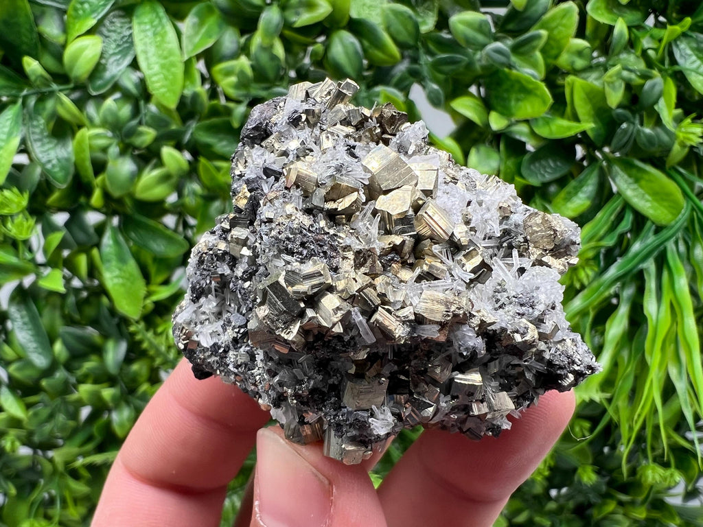 Rainbow Pyrite on Quartz, Natural Mineral Specimen, Borieva Bulgaria