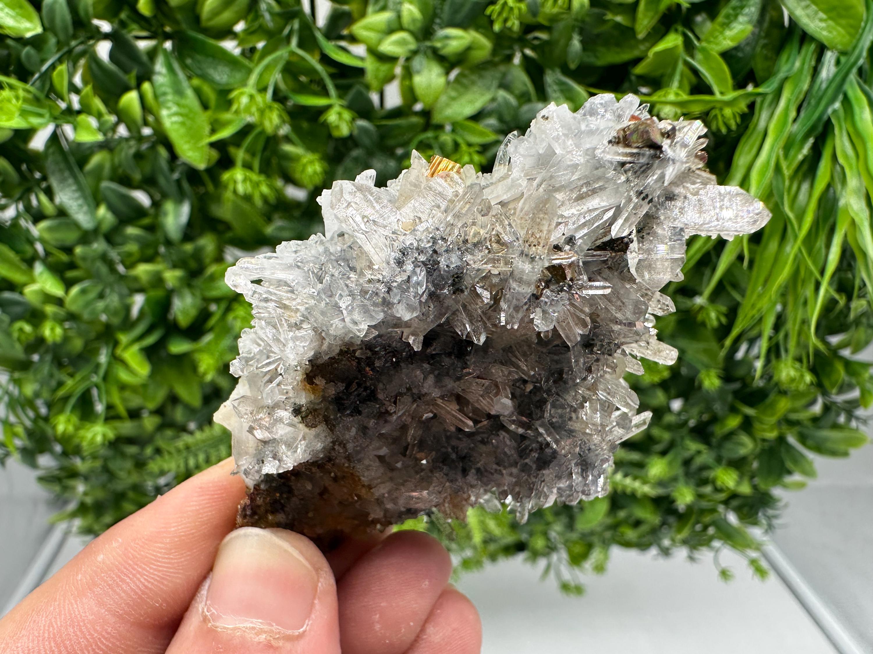 Rainbow Pyrite with Quartz: Natural Mineral Souvenir, Bulgaria