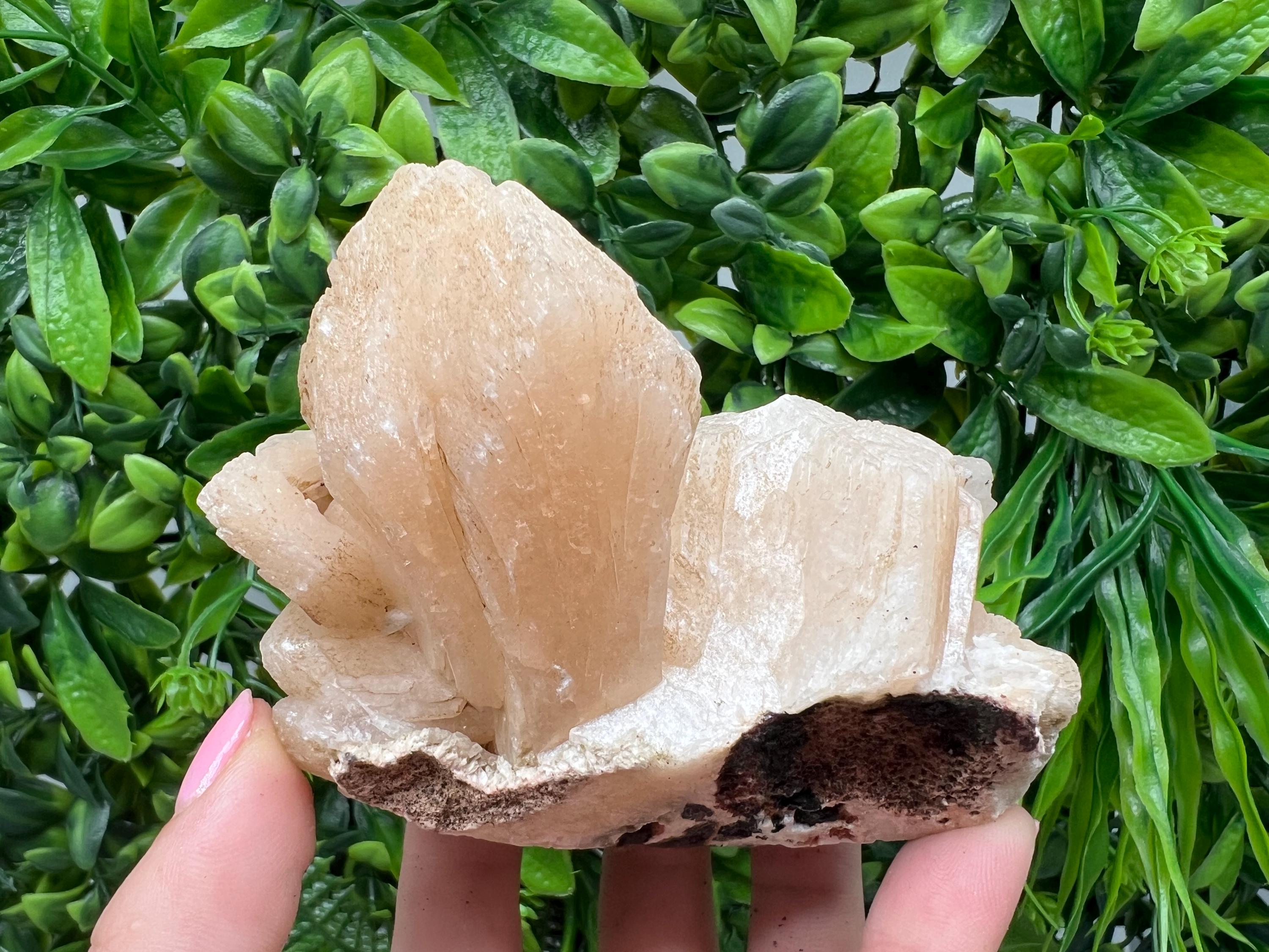 Apophyllite Stilbite Chalcedony Specimen: India Minerals Crystal, 360 grams