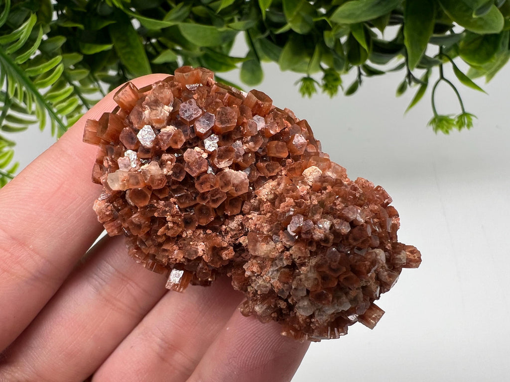 Large Aragonite Sputnik Cluster: Raw Moroccan Crystal Stone