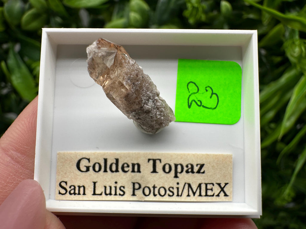 Golden Topaz Crystal, Mineral Specimen from Mexico
