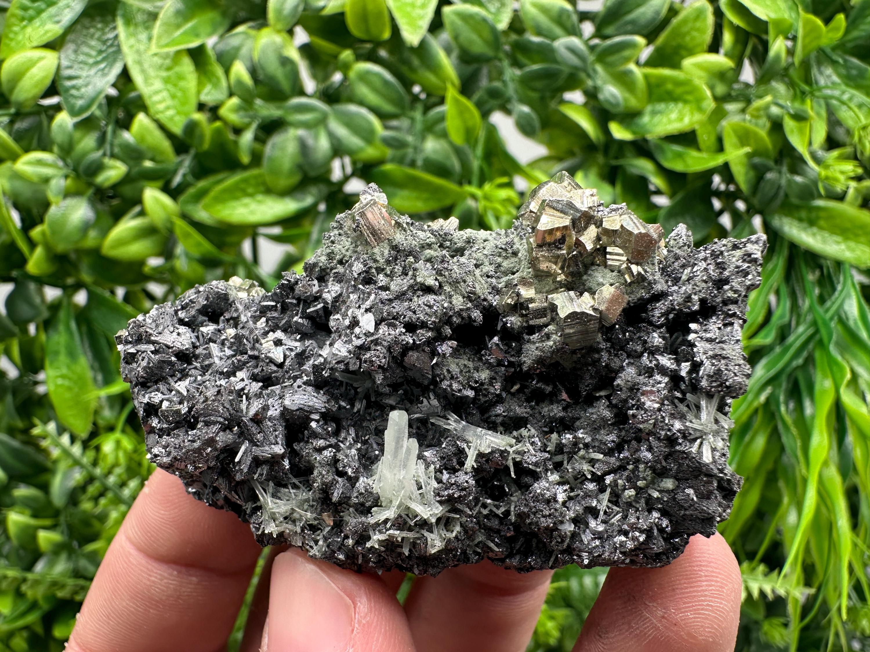 Pyrite on Sphalerite with Quartz, Borieva Mine Mineral Specimen