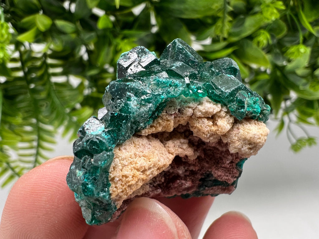 Stunning Green Dioptase from Sanda Hills,Mindouli,Pool Department,Mindouli District,Congo,green Dioptase,Dioptas Crystal,Dioptase collecting