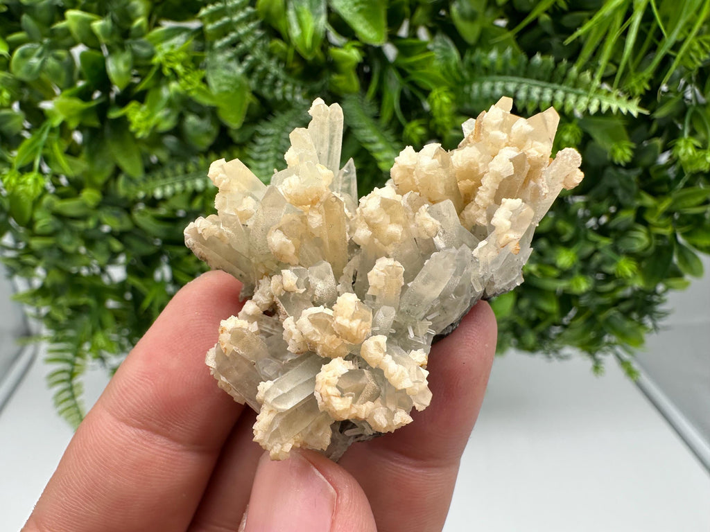 Calcite on Green Quartz: Djurcovo Mine, Bulgaria Healing Crystal
