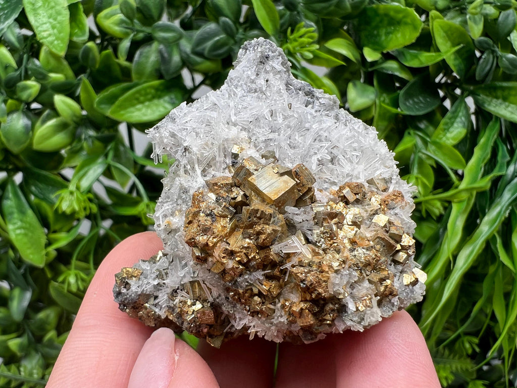Pyrite on Green Quartz Mineral Specimen, Borieva Bulgaria