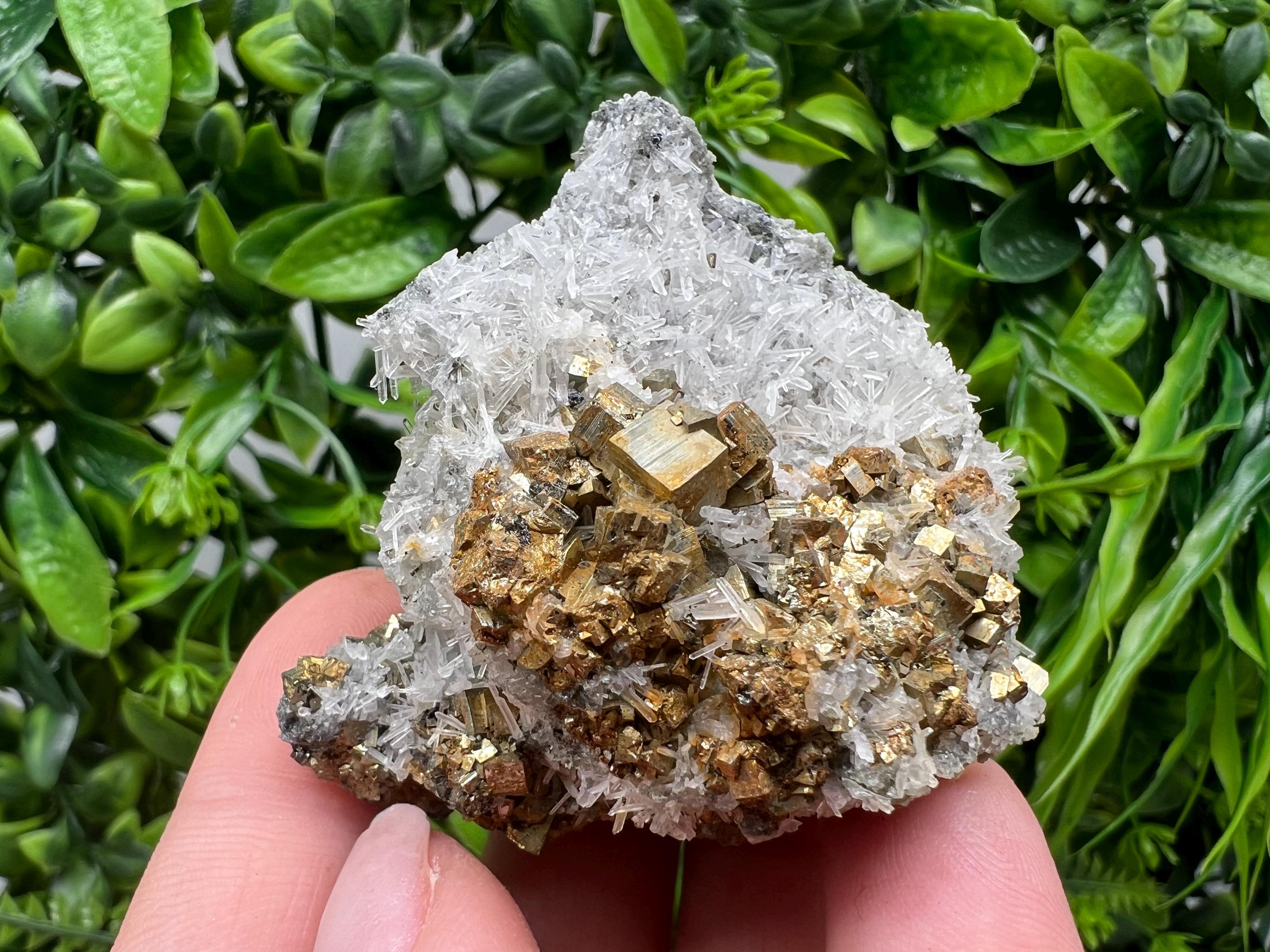 Pyrite on Green Quartz Mineral Specimen, Borieva Bulgaria