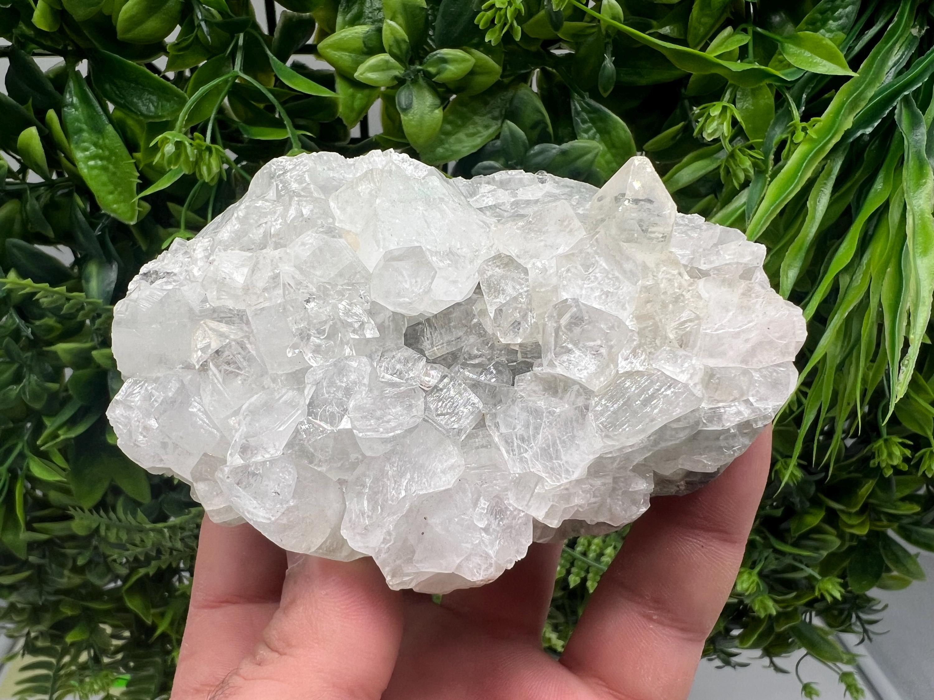Apophyllite on Chalcedony Specimen: Transparent Crystal, India Minerals