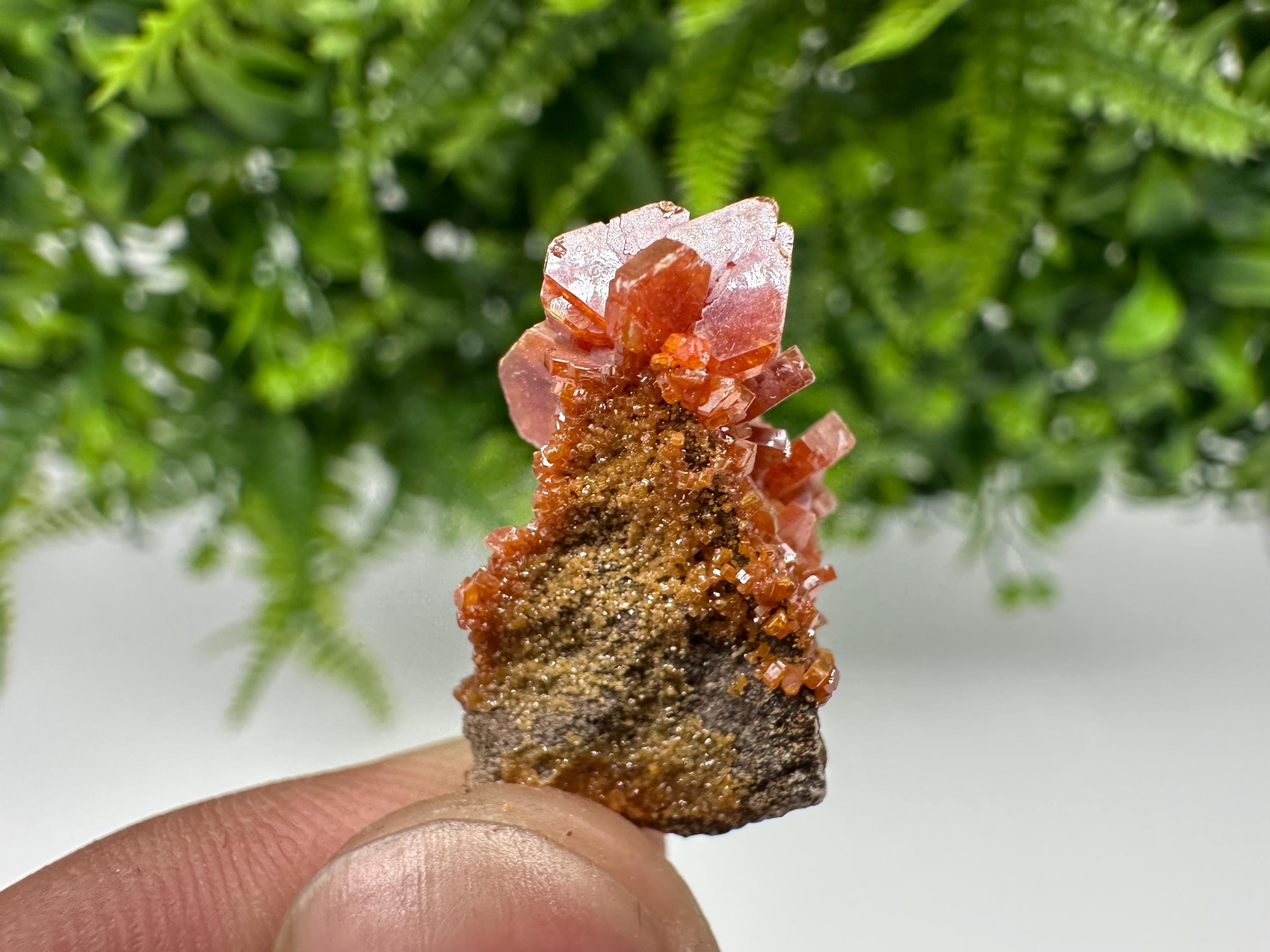 Red Vanadinite on Barite, Morocco Crystal Specimen, Geology Minerals