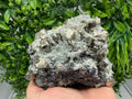 Pyrite Sphalerite Quartz  Mineral Specimen, Krushev dol Mine