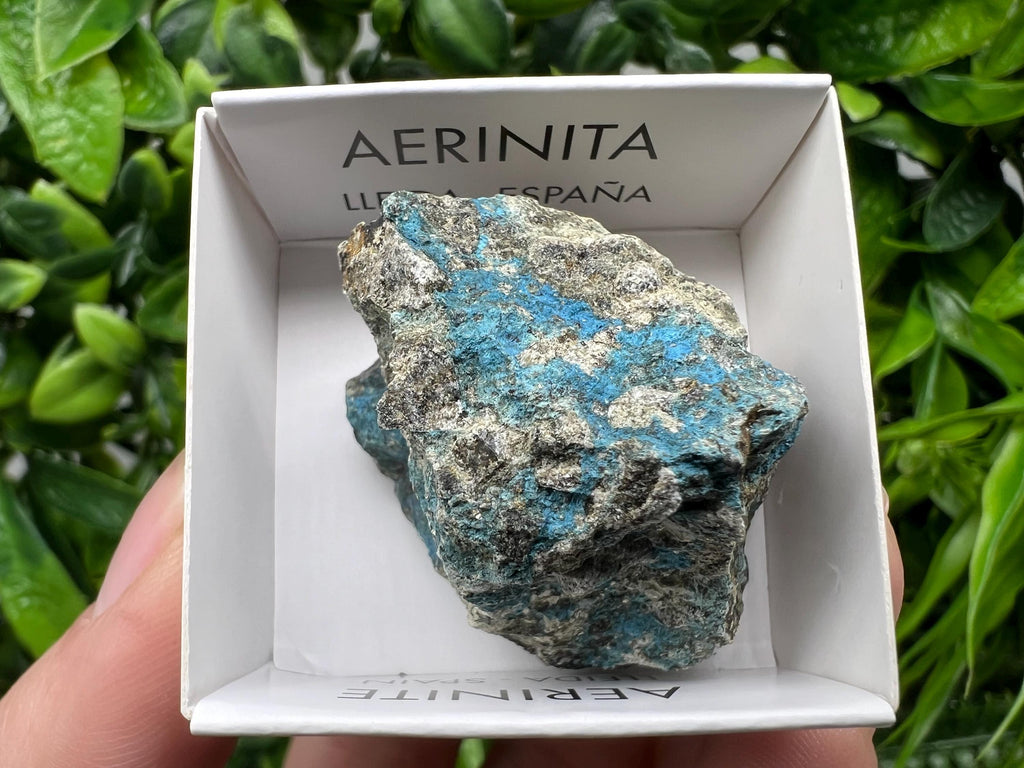 Rare Raw Aerinite Specimen: Mineral Collection Crystal from Spain