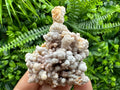Dimitrovgrad Aragonite Cluster, Bulgaria Mineral Specimen (5/5/5cm)