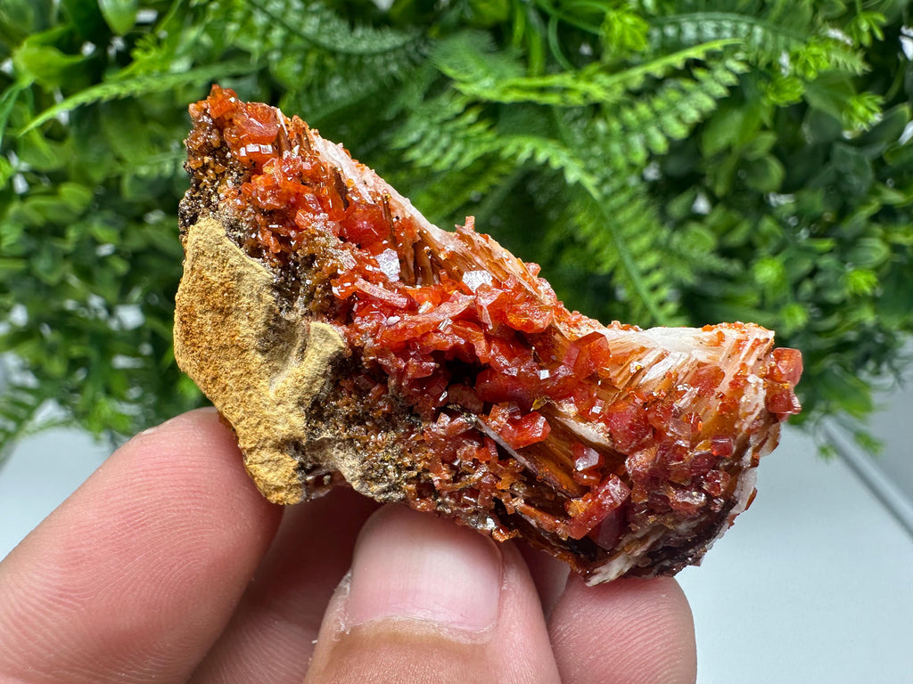 Red Vanadinite on Barite from Marocco,crystal minerals Speciment cluster Vanadinite crystal Vanadinite Geology Vanadinite cluster minerals