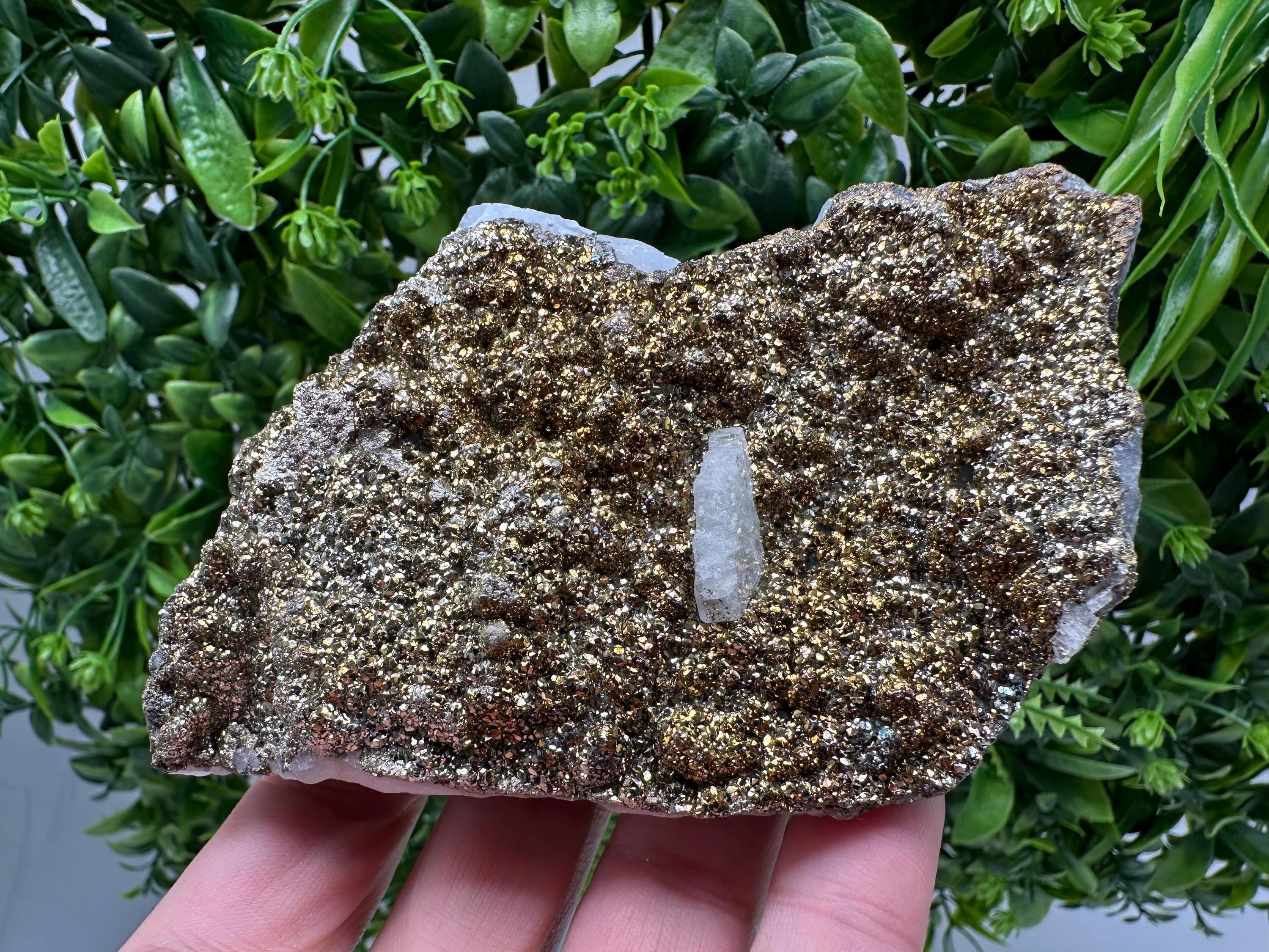 Marcasite Cluster on Chalcedony, Bulgaria Mineral Specimen